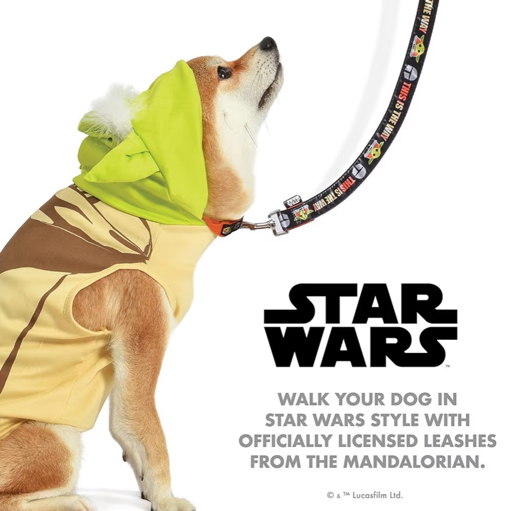Star Wars The Mandalorian 4 ft Pet Leash